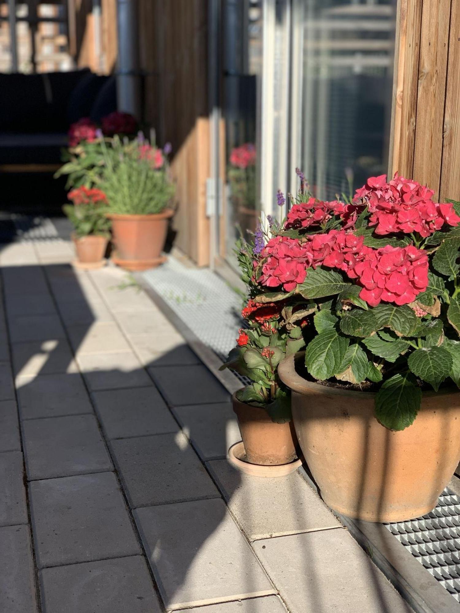 Apartmentincopenhagen Apartment 1460 Ngoại thất bức ảnh
